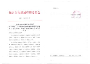 白溝新城敏譜箱包廠 從箱包制造到美發(fā)飾品銷(xiāo)售的跨界探索